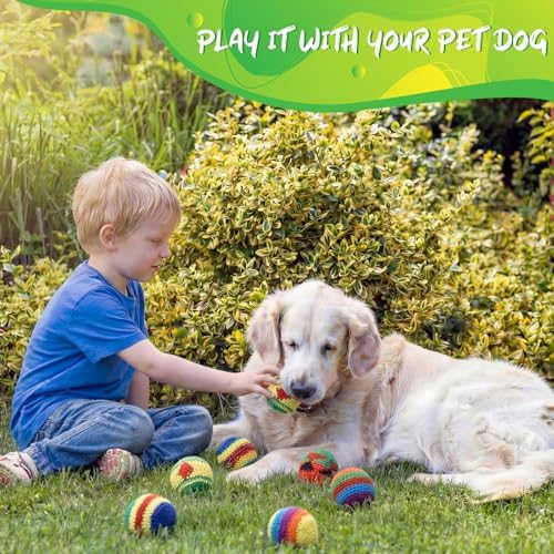 A complete ten piece set of Leyndo imported active play toys spread out on a flat surface