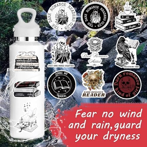 Assorted gothic aesthetic vinyl stickers for e-readers