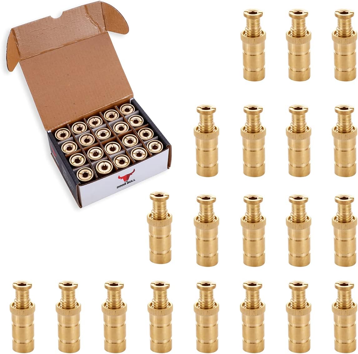The Door Bull brass pool cover anchors front view safety hardware