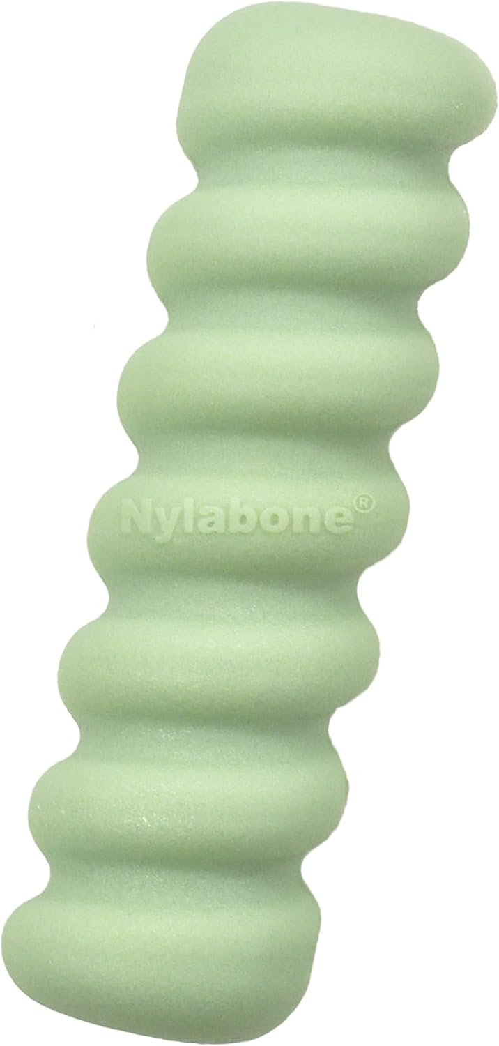Nylabone puppy chew sensory grooved stick front view