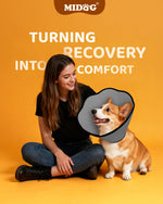 Authentic MIDOG imported pet recovery cone packaging and product details