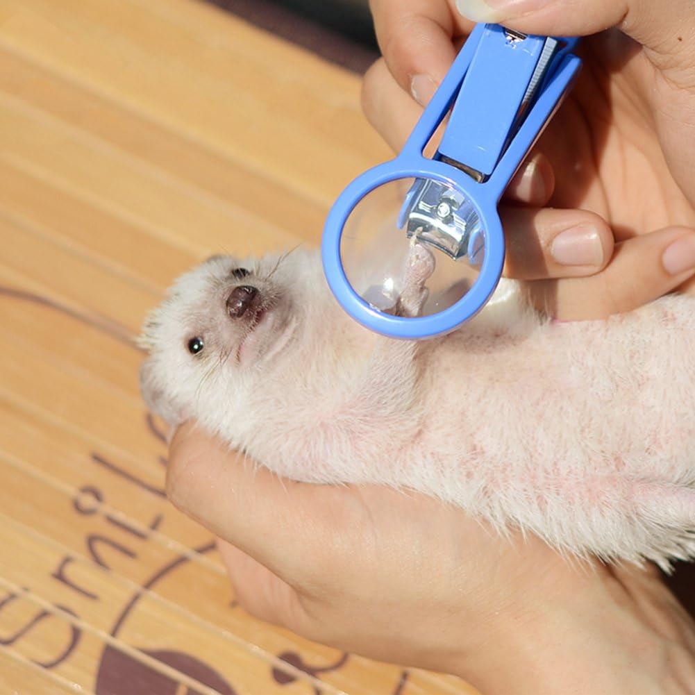 Frjjthchy small animal nail clipper with magnifier front view for hamster grooming
