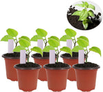 Huvai plant pots showing base drainage holes
