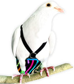 Flyper cockatiel mini diaper close-up view focusing on the avian vet approved protective lining.