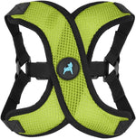 Gooby small and medium dog harness being adjusted on a pet back view.
