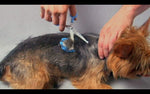 Premium stainless steel serrated blades of Scaredy Cut pet grooming scissors designed for noise free hair cutting.