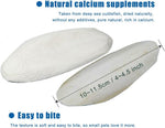 Close up of pure deep sea cuttlefish bone texture for tortoise shell health.