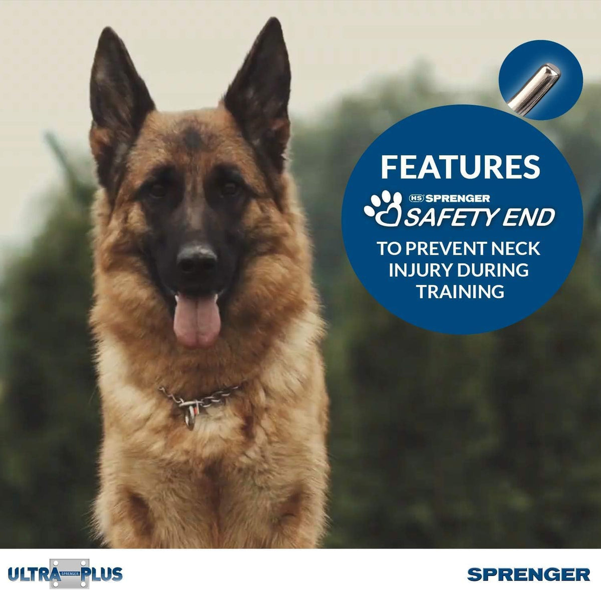 Premium imported silver dog training collar with durable D ring leash attachment point