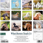 What Horses Teach Us 2023 Wall Calendar - Image 4
