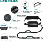 Double padded handles on nylon leash showcasing close traffic control grip.