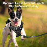 Front metal D ring leash attachment for training