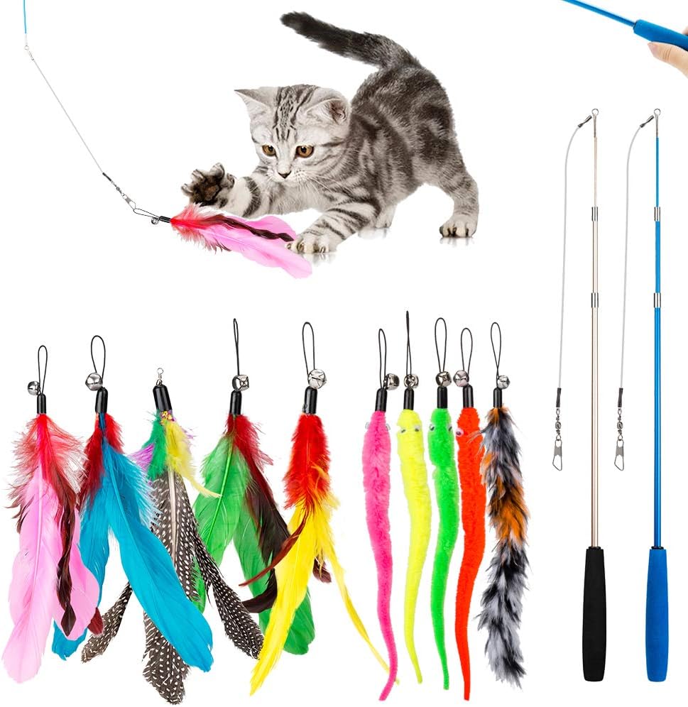 JIARON retractable feather cat toy wand front view showing full interactive kit