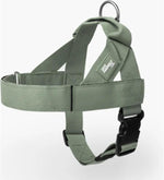 Dog Friendly Co. Dog Harness | Chafe Resistant Webbing, Adjustable Neck & Chest, and Heavy Duty D-Ring | Sturdy, Comfortable, Easy to Use | Classic Blue, Size L - Image 13