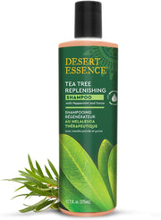 Tea Tree - 12 Fl Oz (Pack of 1)