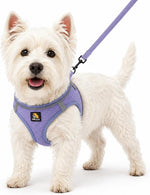 Bella And Pal step in vest harness lavender front view on small puppy