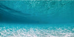 AWERT undersea aquarium background front view showing tropical ocean floor design