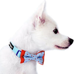 Blueberry Pet pack of 2 handmade dog bowtie set in black gift box packaging