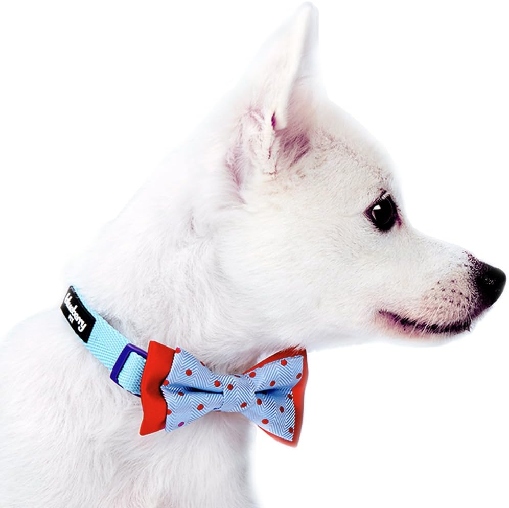 Blueberry Pet pack of 2 handmade dog bowtie set in black gift box packaging