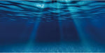 AWERT Ocean Floor Aquarium Background front view showing deep blue underwater sunrays.