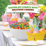 Close up view of multicolored Crazyoutlet jelly beans illustrating the soft texture and diverse fruit selection.
