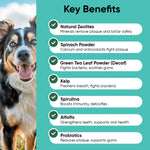 Dog teeth cleaning powder jar showing natural kelp and probiotics formula ingredients.
