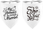 High quality fabric pet accessory for wedding ceremonies