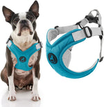 Gooby memory foam harness side profile on dog model for fit check