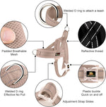 Plutus Pet breathable mesh padded dog vest harness close up look