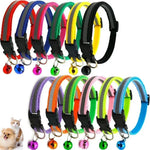 ONEFOJOJO extra small dog collar showing adjustable buckle mechanism
