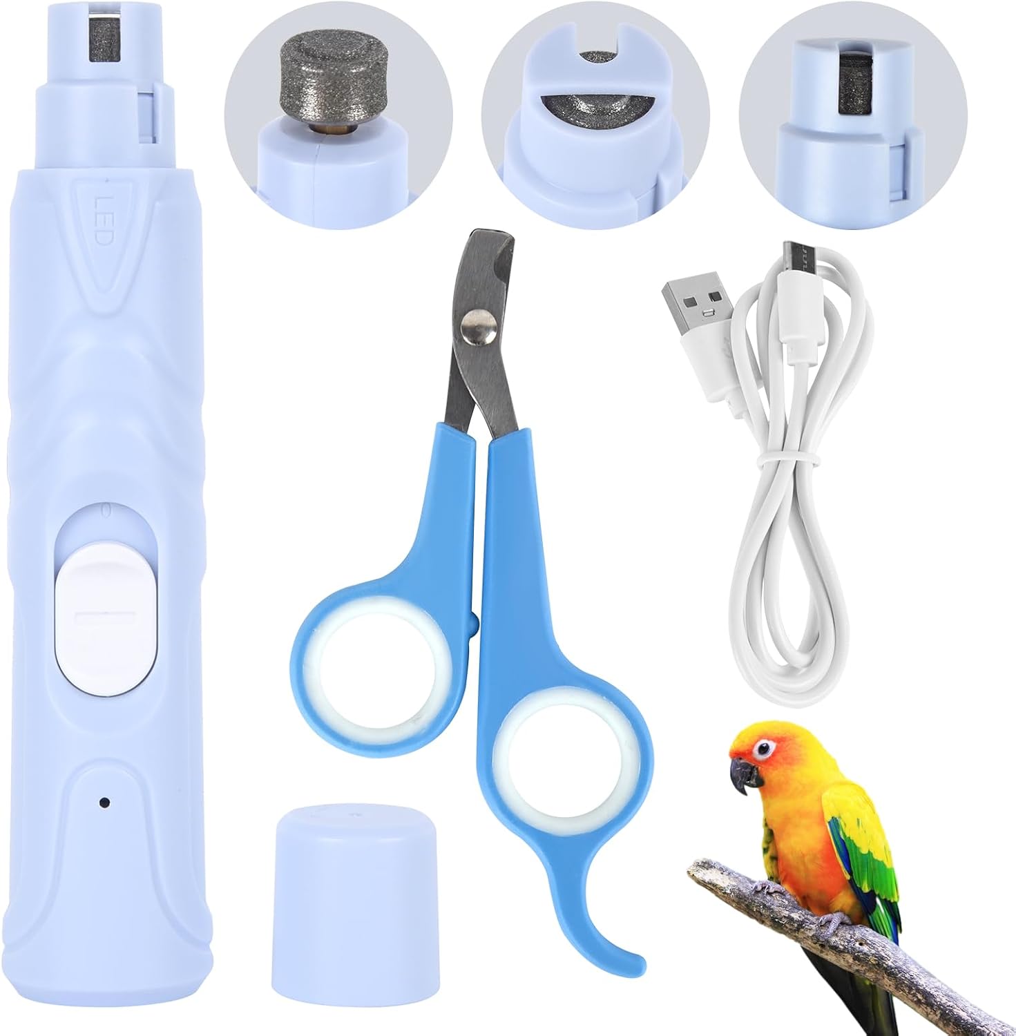 Anicuta bird nail grinder front view showcasing the blue ergonomic handle and built-in LED light.