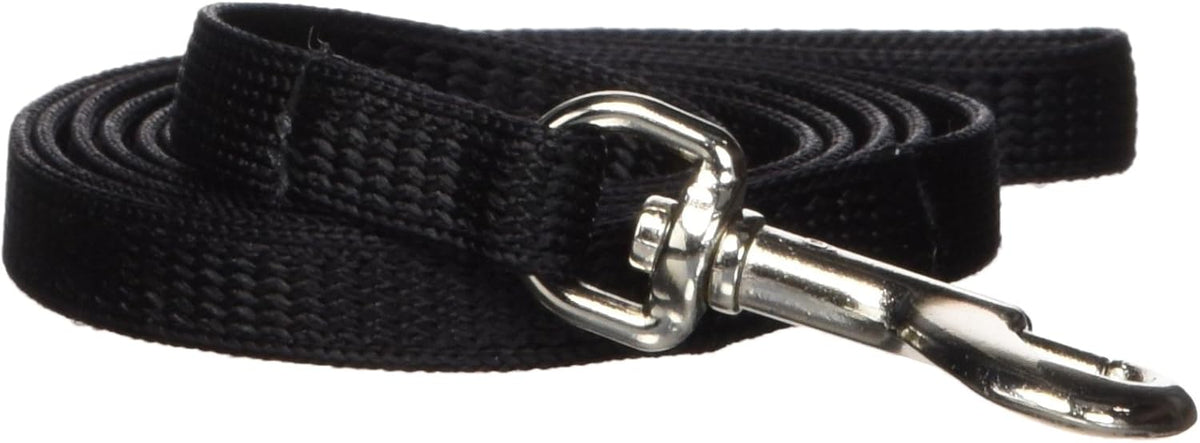 Hamilton cat leash coiled showing 4 foot length scale