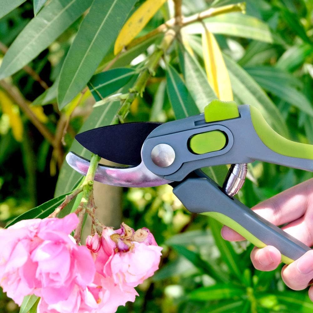 Altdorff garden tool set packaged in its presentation box