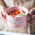 VanEnjoy imported ceramic soup bowl set packaging display