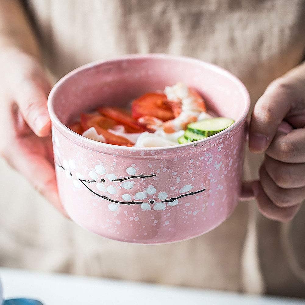 VanEnjoy imported ceramic soup bowl set packaging display