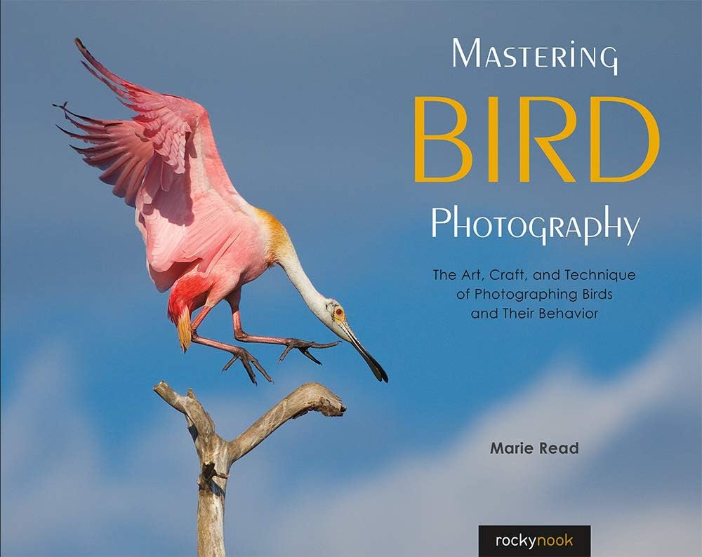 Mastering Bird Photography: The Art, Craft, and Technique of Photographing Birds and Their Behavior - Image 1