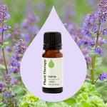 Plant Therapy catnip essential oil label details and botanical name