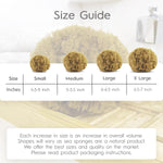 Naroa sea sponge creating rich lather
