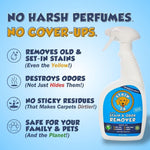 Using Stain Fu on a carpet rug for pet accidents