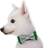 Blueberry Pet red and green polka dot bowtie designer pet accessory