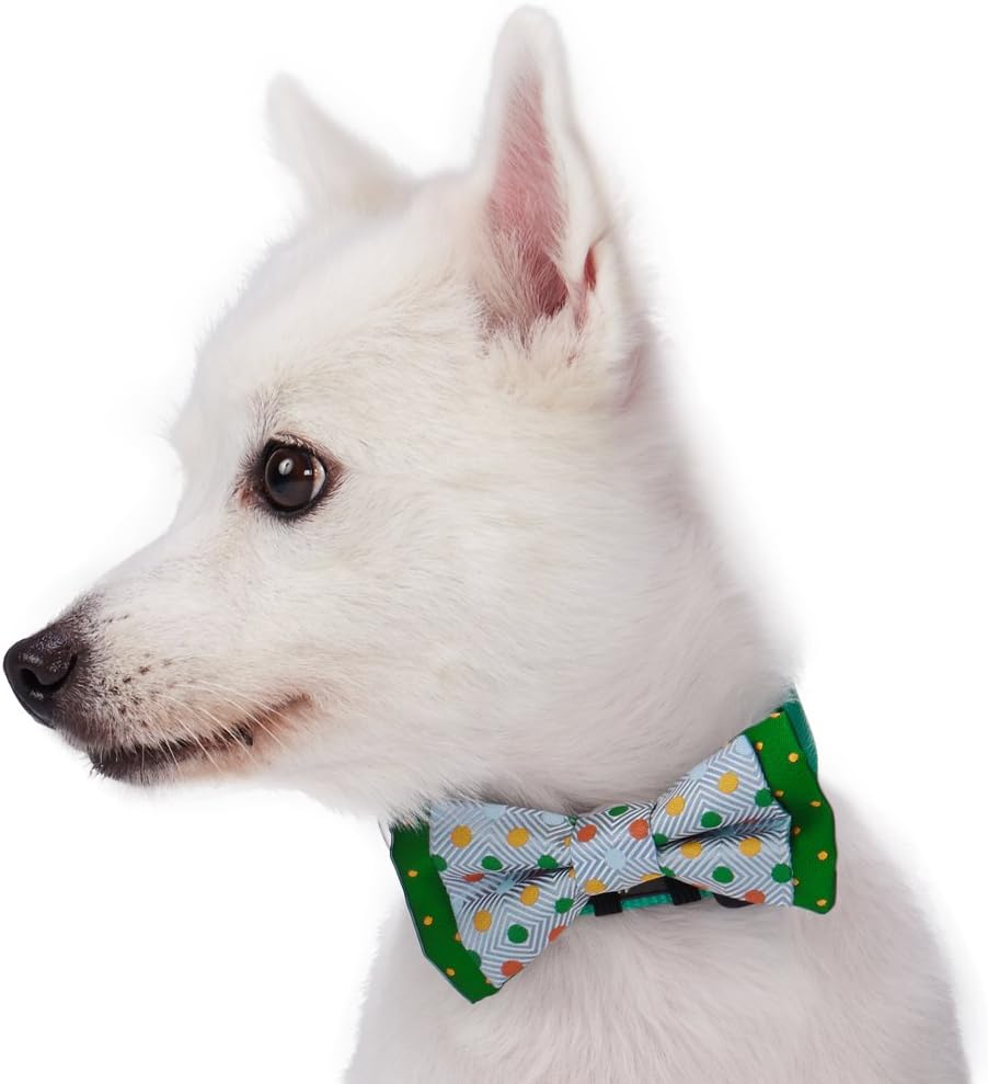 Blueberry Pet red and green polka dot bowtie designer pet accessory