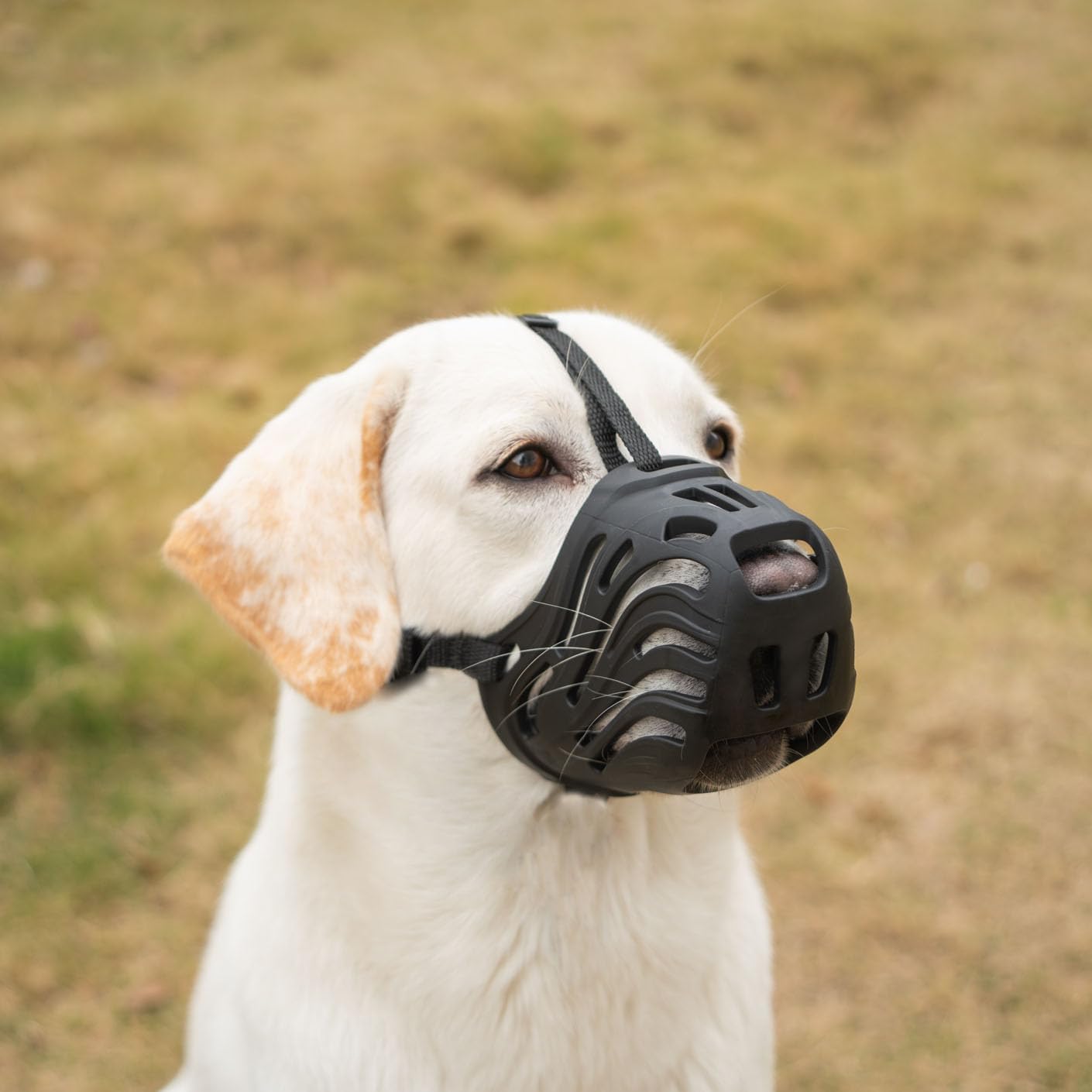 Diketone black silicone basket muzzle for large dogs front view