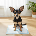 SPOT X Marks The Spot Extra Absorbent Puppy Pads with Adhesive Strips & Pheromones - Attracts Dogs to Center for Training & Potty, 22" x 22", 50-Pack - Image 10