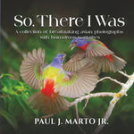 So, There I Was - Image 1