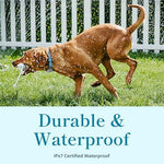 Petivity waterproof dog tracking device showcasing the durable pet safe exterior packaging