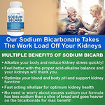 Premium USA imported kidney health supplement pack with probiotics and niacinamide.