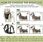 Details of metal carabiner and harness buckle system