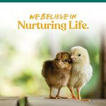 Small sized natural granite stones designed for young poultry gizzard digestion support