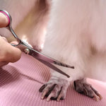 Titanium coated stainless steel pet hair cutting tools for home grooming
