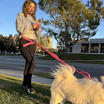Shed Defender hands free waist leash belt product packaging