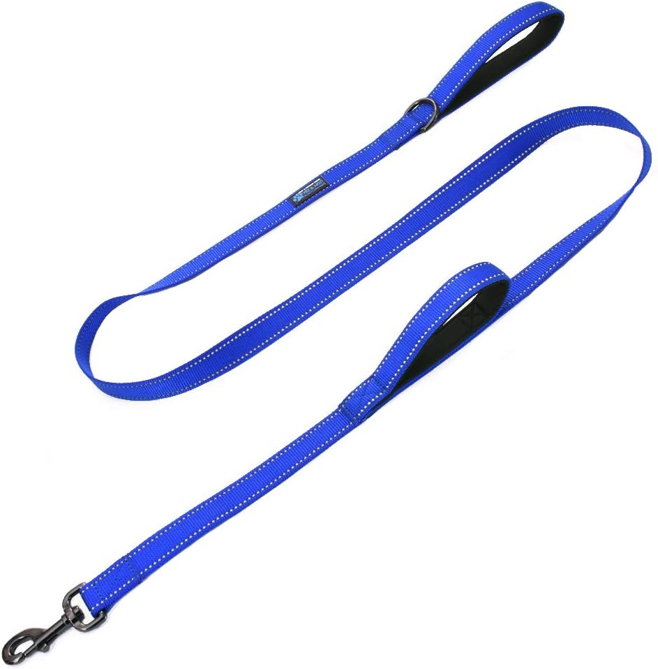 Max and Neo dog leash showing neoprene padded handle